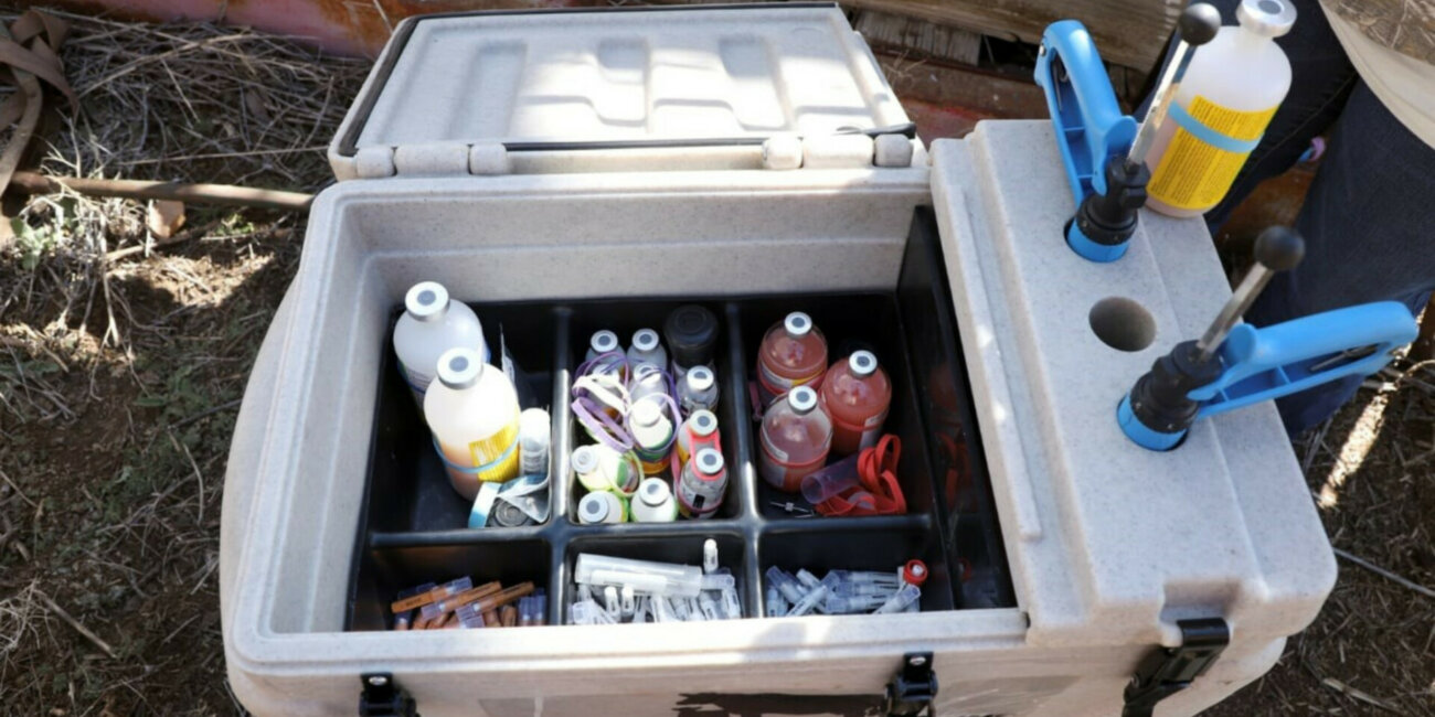 Vaccine Cooler being used