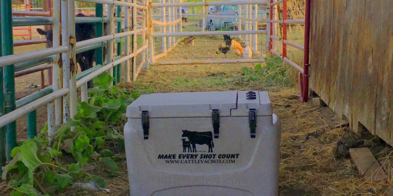 Image of Boss Vaccine Cooler in Chute