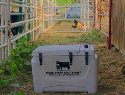 Image of Boss Vaccine Cooler in Chute