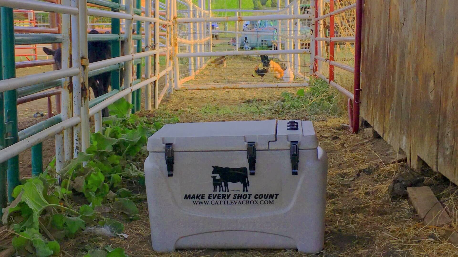 Image of Boss Vaccine Cooler in Chute