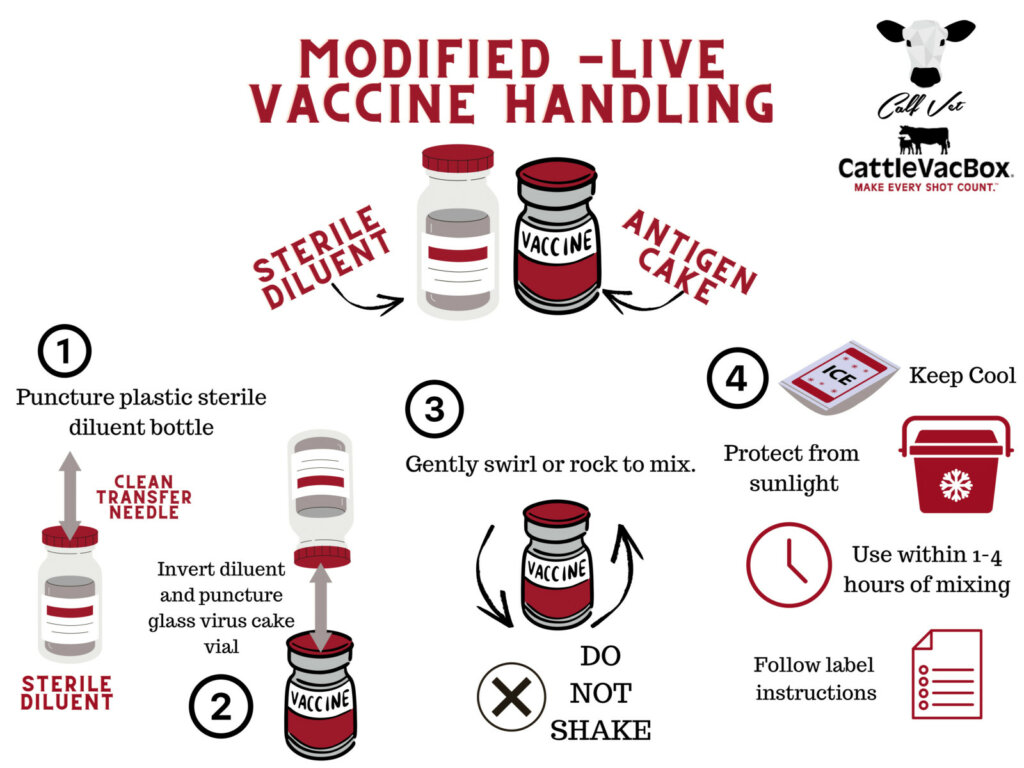 Modified-Live Vaccine Handling Infographic How-To