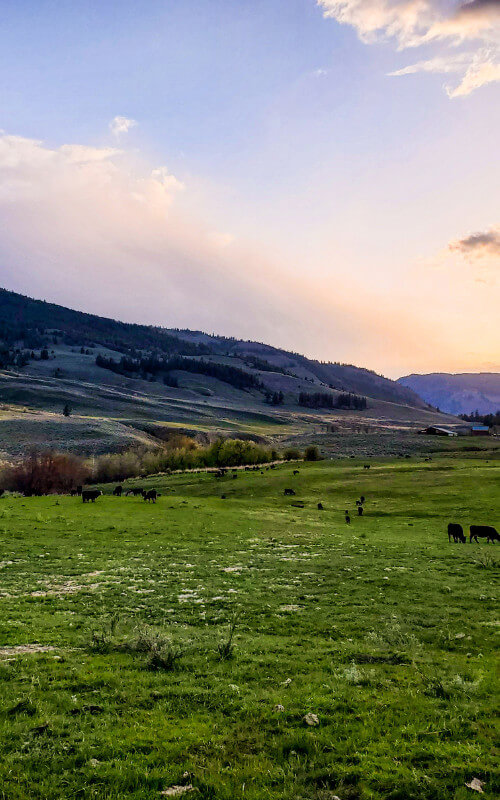 Clifton Ranch, BC, Canada