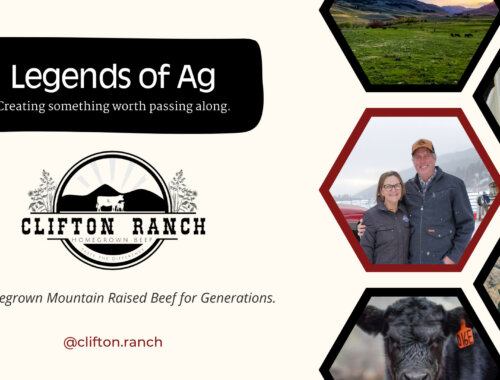 Clifton Ranch CattleVacBox